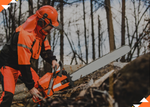 Chainsaw Course in Melbourne Victoria